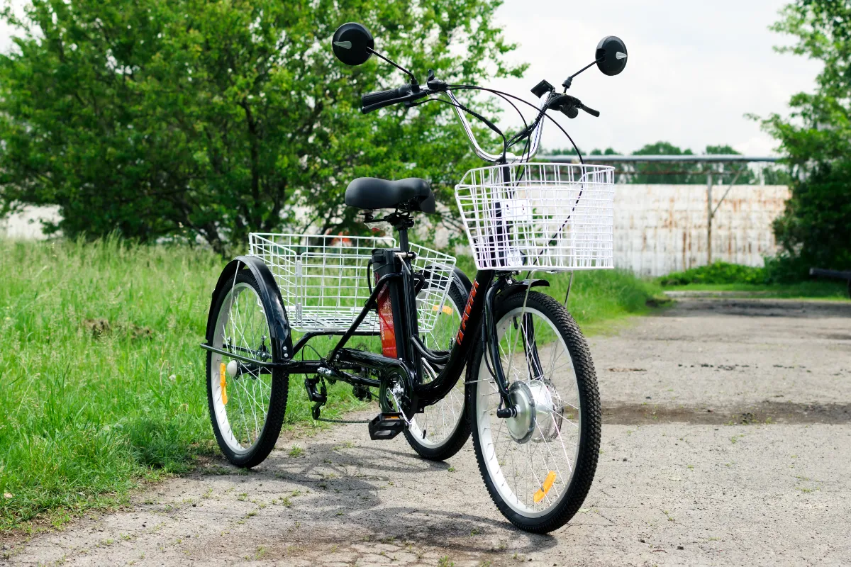  AVM E-ALFA TRIKE 24, 2026 г.