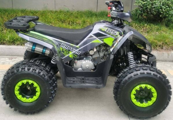 Racer RC RC125 Raptor, 2024 г.
