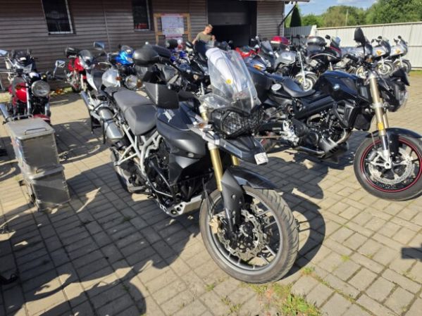 Triumph Tiger, 2010 г.
