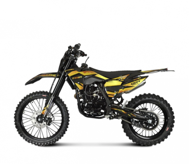 TMBK ENVY 300 PRO, 2026 г.