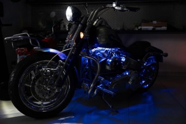 Harley-Davidson Softail, 2009 г.