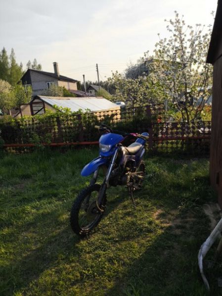 BSE MX, 2019 г.