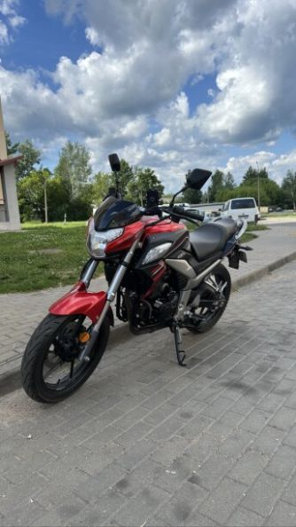 Racer Fighter, 2024 г.