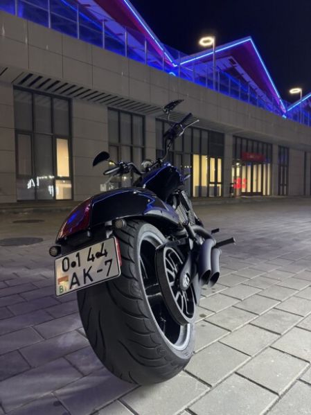 Victory Hammer Limited, 2014 г.