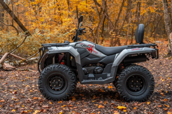 Loncin XWolf 300 MAX, 2026 г.