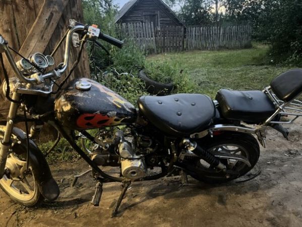 Viper Harley, 2010 г.