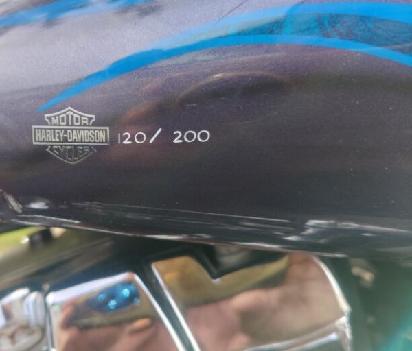 Harley-Davidson Dyna FXDWG, 2005 г.