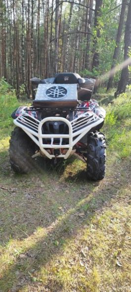 Yamaha Grizzly, 2010 г.