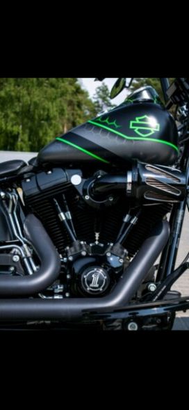 Harley-Davidson Softail Slim, 2013 г.