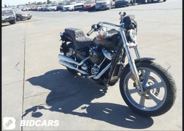 Harley-Davidson Softail FXST, 2023 г.
