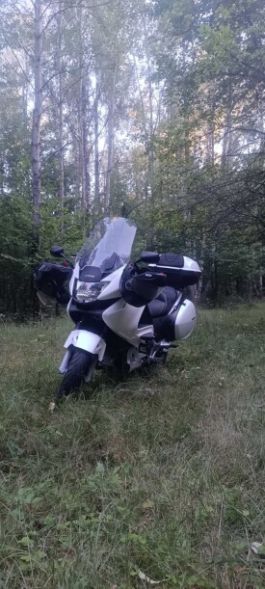 Honda NT, 2008 г.