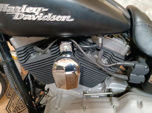Harley-Davidson Dyna FXDB, 2009 г.