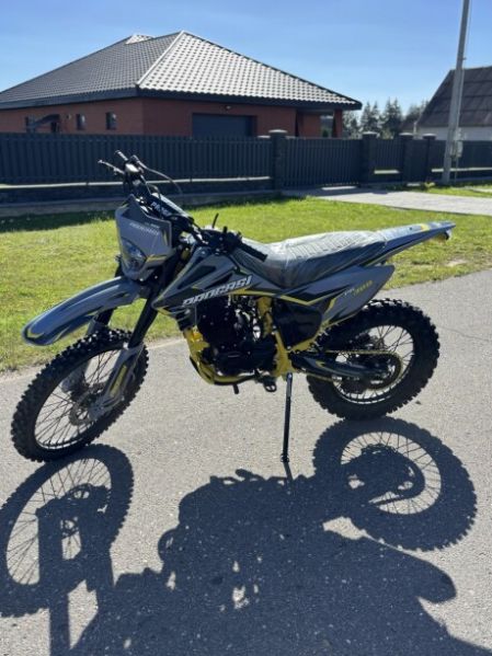 Progasi PALMA 300 PRO, 2026 г.