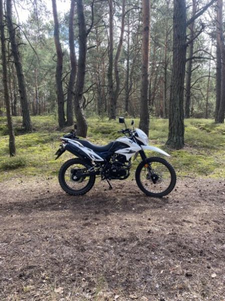 ЗиД YX, 2019 г.