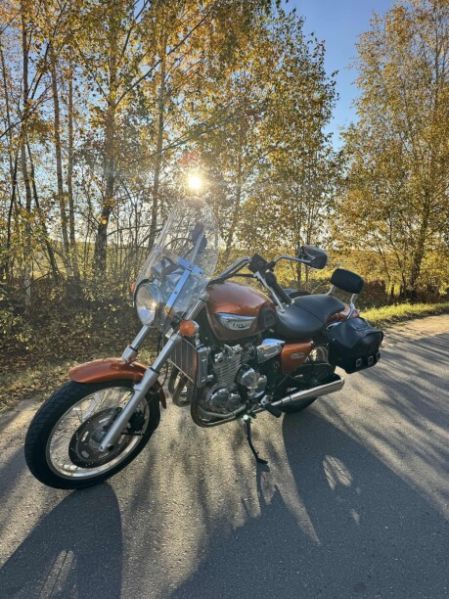 Triumph Thunderbird Adventure, 1995 г.