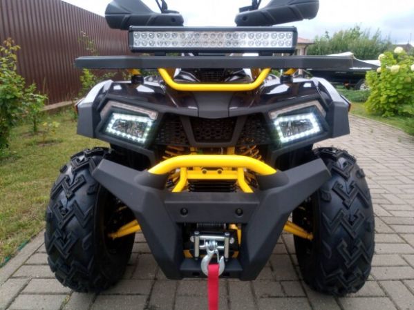 Motoland Wild Track X "WINCH" 200, 2026 г.
