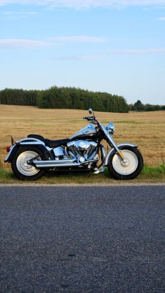 Harley-Davidson Fat Boy 100th Anniversary, 2003 г.