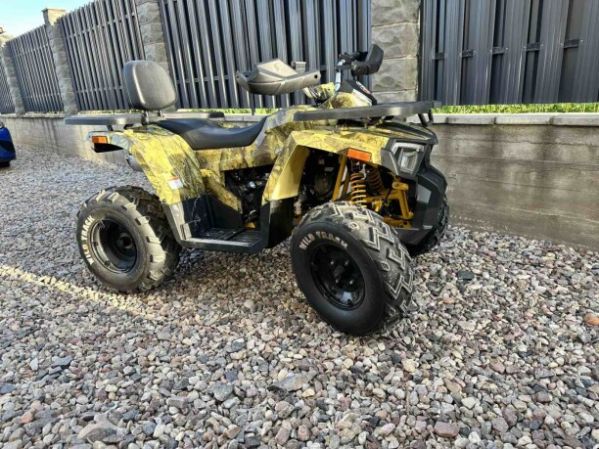 Motoland Wild Track X, 2024 г.
