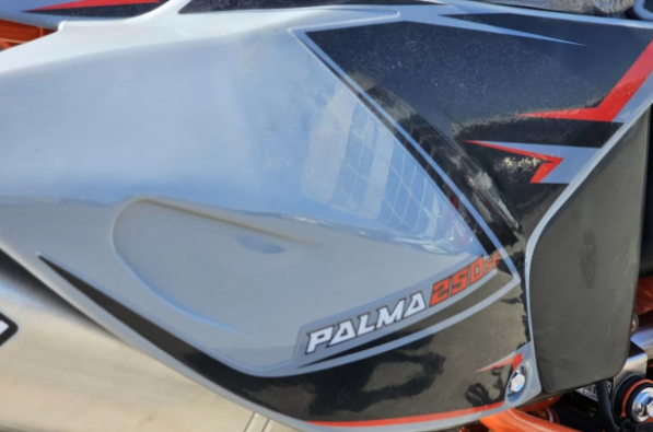Progasi Palma 250 SE, 2025 г.