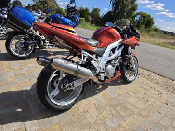 Suzuki SV 1000, 2003 г.