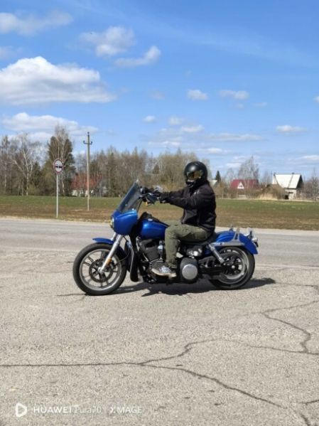 Harley-Davidson Dyna street Bob fxdbil, 2006 г.
