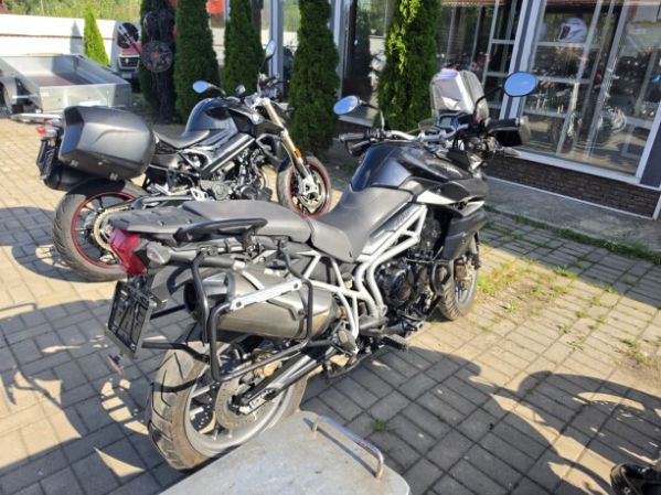 Triumph Tiger, 2010 г.