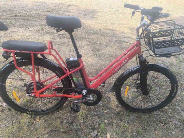 Tsunami Dacha 500W, 2025 г.