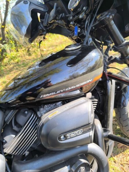 Harley-Davidson Street Rod XG750, 2020 г.