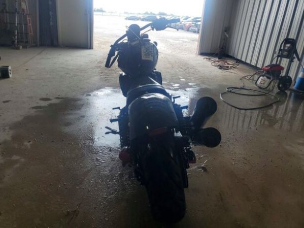 Indian Chief Dark Horse, 2025 г.