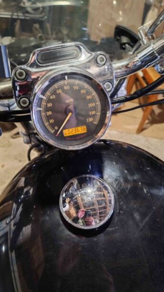 Harley-Davidson Sportster XL 1200 C, 2011 г.