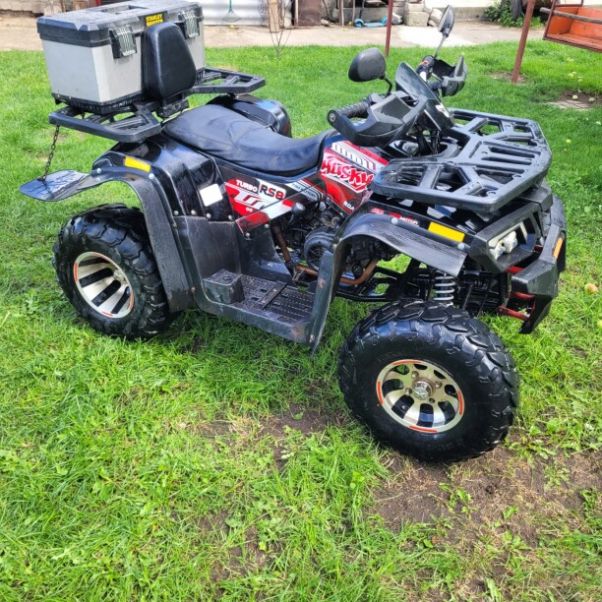 Motoland 200 Wild Track, 2024 г.