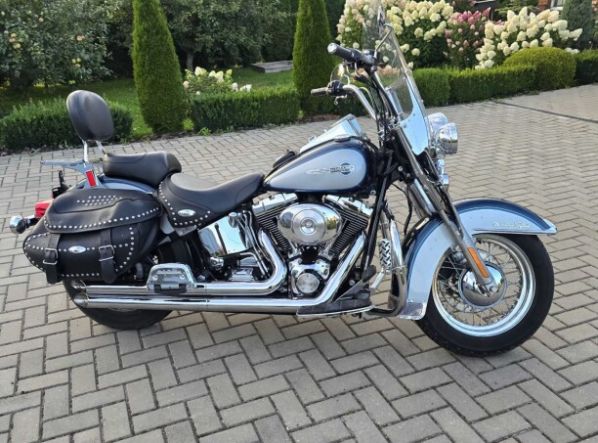 Harley-Davidson Softail Classic holitech, 2001 г.
