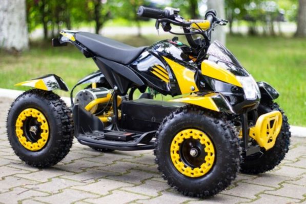 MMG Cobra 800W, 2022 г.