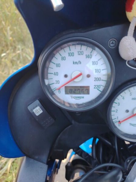 Triumph Tiger 955i, 2006 г.