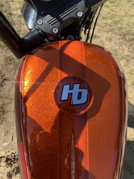 Harley-Davidson Sportster, 2013 г.