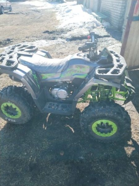 Motoland Wild x 125, 2024 г.