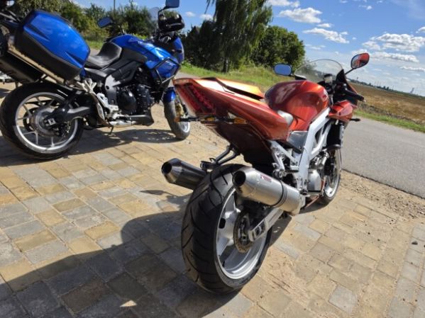 Suzuki SV 1000, 2003 г.