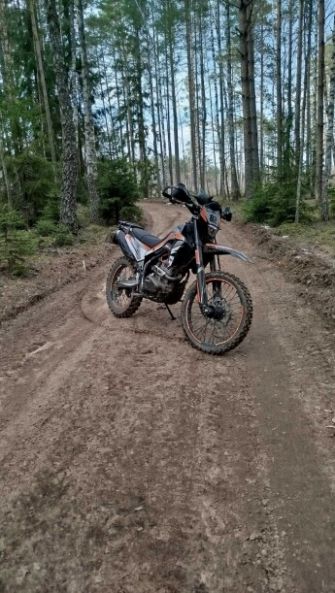Regulmoto CR-X, 2024 г.