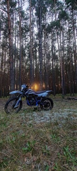 Progasi PALMA 250, 2024 г.