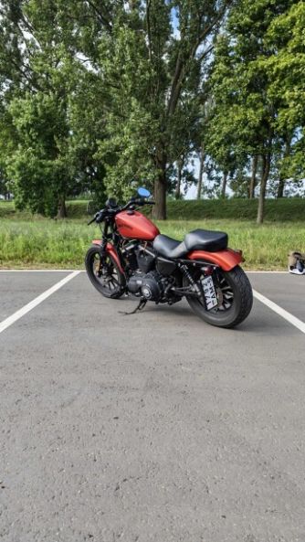 Harley-Davidson Sportster Iron, 2013 г.