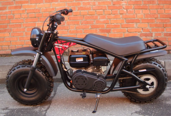 Motoland TT RT 200, 2024 г.