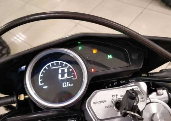 Regulmoto TE PR 300 NEW (кпп-6), 2024 г.