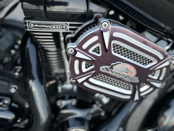Harley-Davidson CVO, 2011 г.