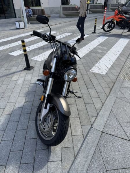Kawasaki VN VN1600 MEANSTREAK, 2004 г.