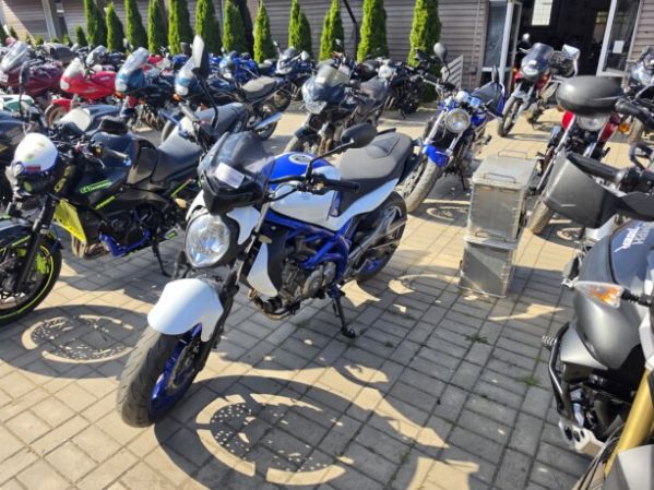 Suzuki SFV, 2010 г.