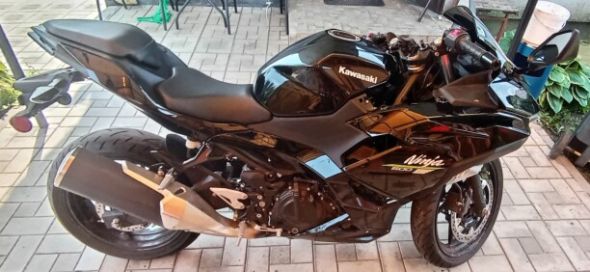 Kawasaki Ninja EX500, 2024 г.