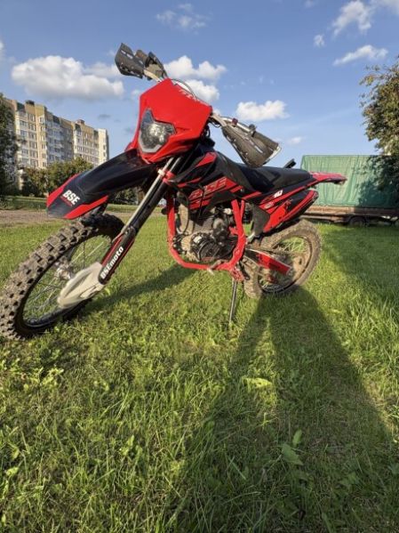 BSE Z10, 2024 г.