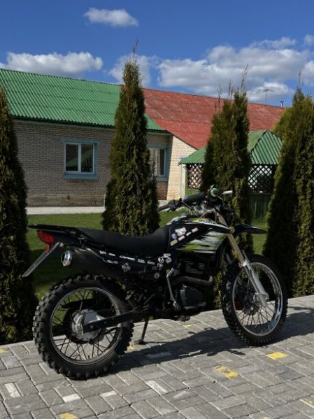 Roliz 005, 2019 г.