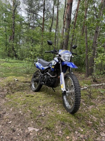 Racer Panther, 2019 г.