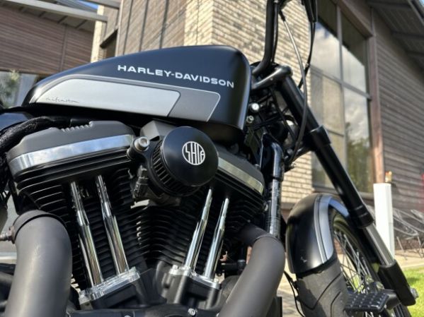 Harley-Davidson Sportster XL1200X Forty-Eight, 2016 г.